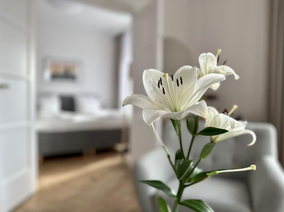 Premium Apartment By Hi - Central 2 Bedroom - Best View بودابست المظهر الخارجي الصورة